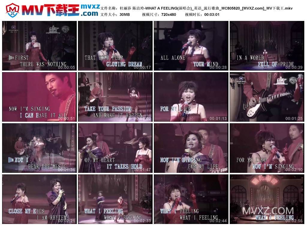 杜丽莎 陈洁玲-WHAT A FEELING(演唱会)_英语_流行歌曲_MC805820